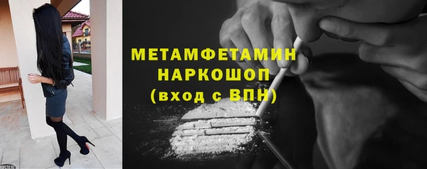 прущие грибы Богданович